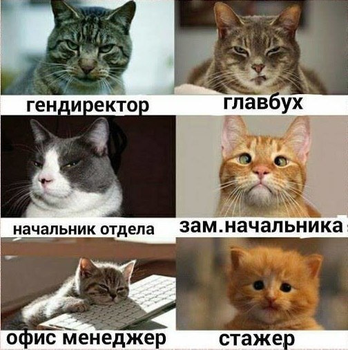 Просто картинки