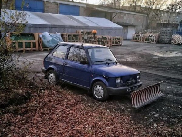 Автовсячина