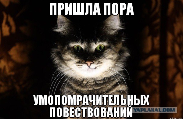 Месть утопленницы. Фельдшер — о доме, в котором умирают или болеют все мужчины