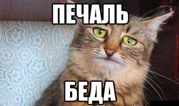 Итоги проверки пользователей
