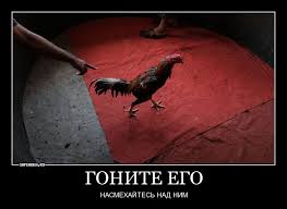 Найден автор DDOS-атак на ЯП