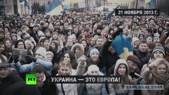 Плюшевый Бунт (Немного экстремизма)