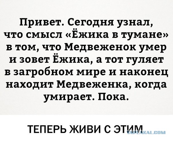 Смешные комментарии из социальных сетей 14.09.2018