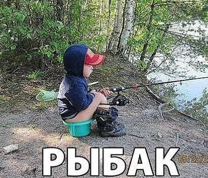 Скотсети и иной интранэт