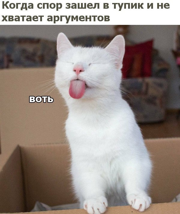 Немного милоты