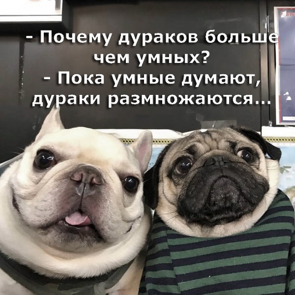 Щемящее чувство одиночества