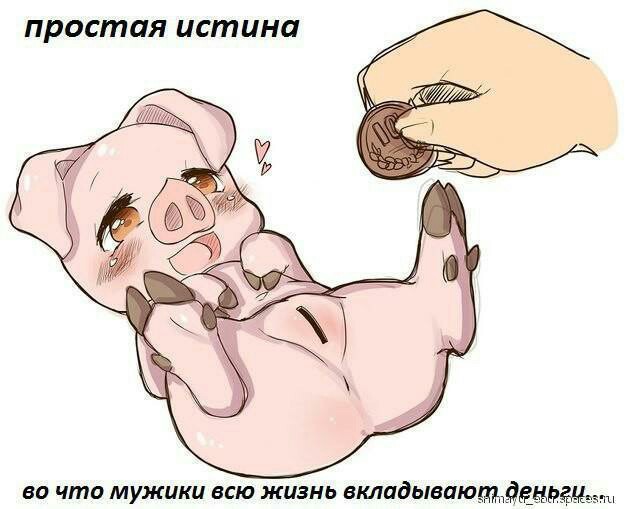 Забавные шутки, картинки и фразы из этих ваших интернетов
