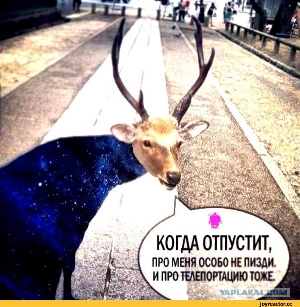 Паранойя или кто катает железные предметы