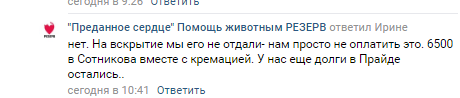 Помогите вернуть кота! Приют "Преданное сердце" украл кота и не отдает!-2