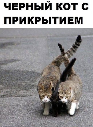 Чуток картинок! 26.12.19