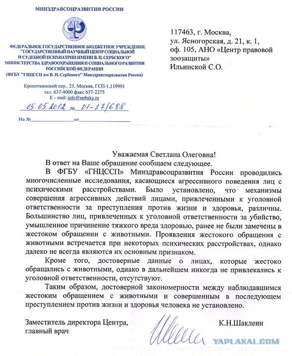 Онжеребенок