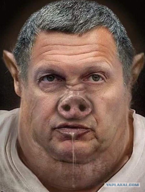 Кукушка хвалит петуха, за то что хвалит он кукушку