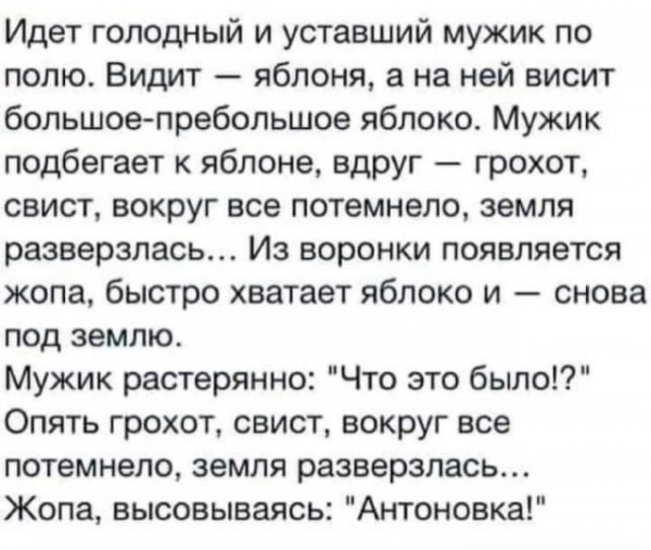 Прикольные и просто красивые картинки 19.11.2020