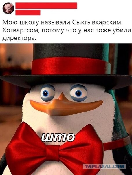 Бредзона 22.11.20