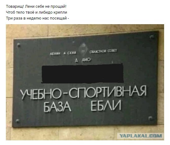 Когда жена распускает руки