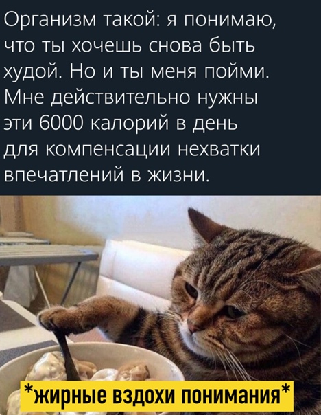 Картинки и мемы для настроения 025