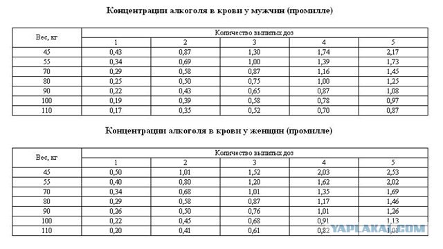Буйная девушка: Эй мент, давай сюда мой паспорт!