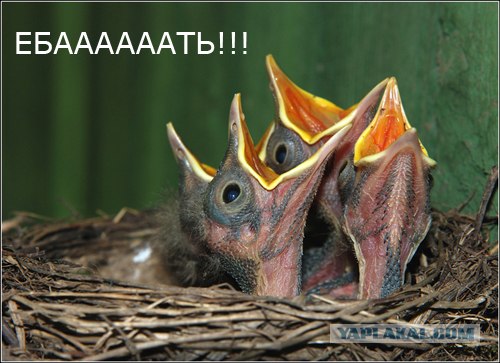 Дрифт на четырёх-осном грузовике