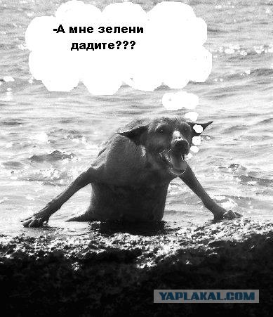 Я спать посоны