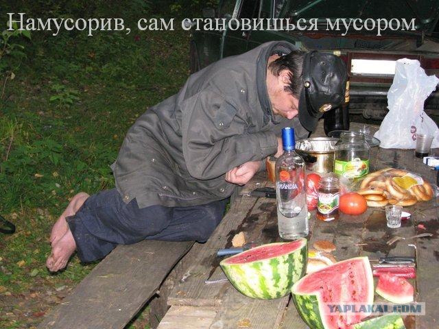 Вот откуда они берутся