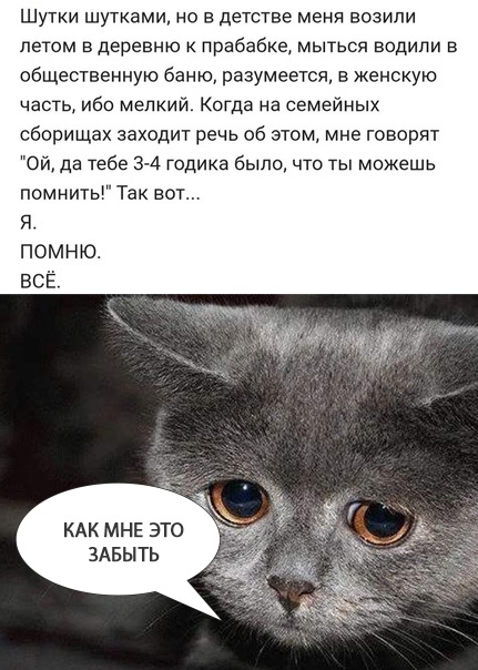Так себе картинки 27.08.21
