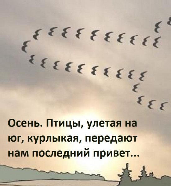 Так себе картинки 11.10.21