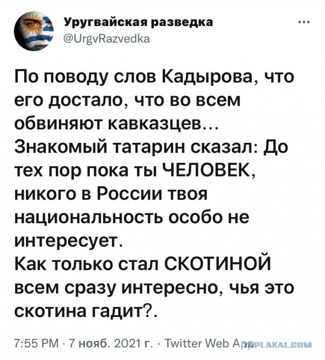 Парламент Чечни внесёт в Госдуму законопроект о запрете упоминания национальности преступников в СМИ