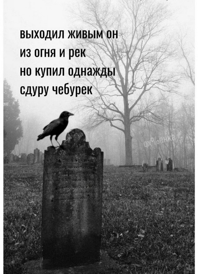 Так себе картинки 23.04.22