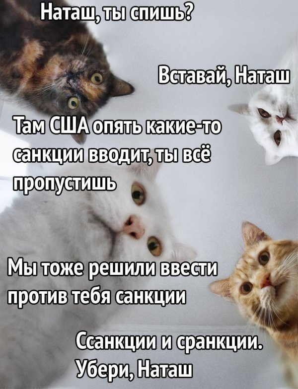 Картинки и мемы для настроения - 27