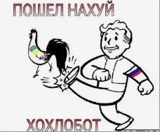 Путин поручил Шойгу ввести режим прекращения огня с 12:00 6 января до 24:00 7 января