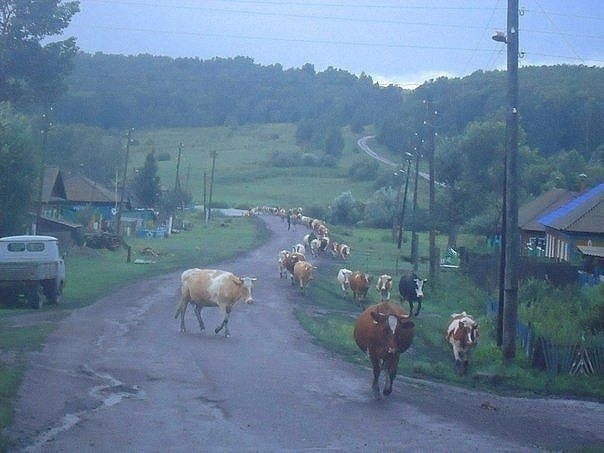 Вспоминая добрые моменты