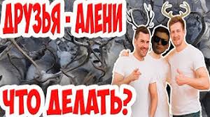 Вечерний звонок