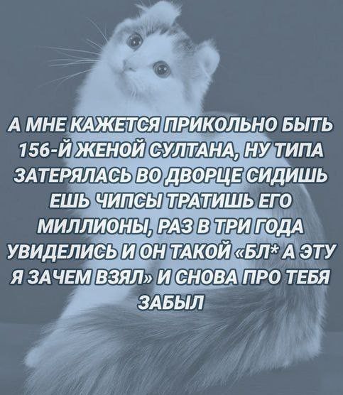Всего понемногу. Часть 2.