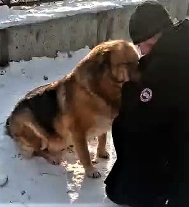 Собаковторник!