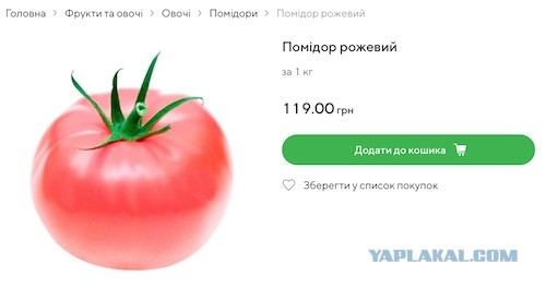 Вымирание региона на примере огурцов за 440 рублей объяснил волгоградский фермер