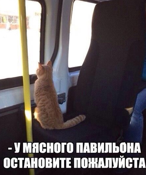 Так себе картинки 20.04.23