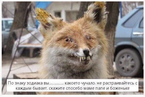Всего понемногу. От 26.04.23