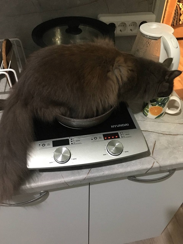 Чудо. Конкурс Коротких Креативов № 28.  На Старт!