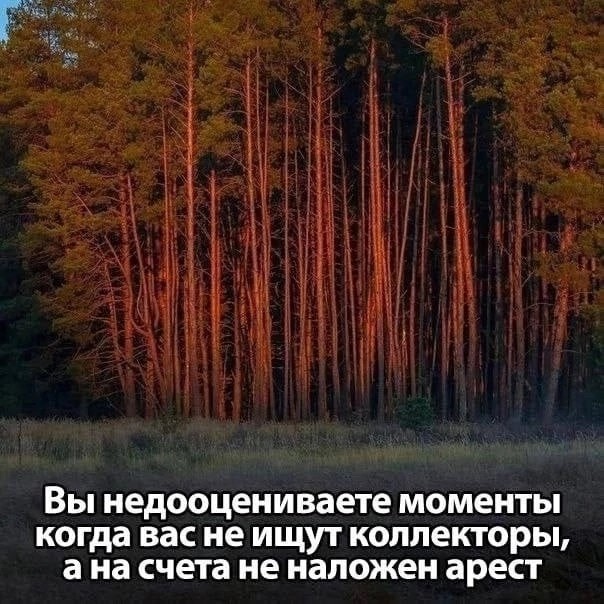 Нуштош 27.08.23