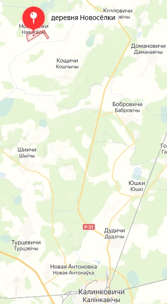 Сообщают, что захватили Новоселки, Беларусь