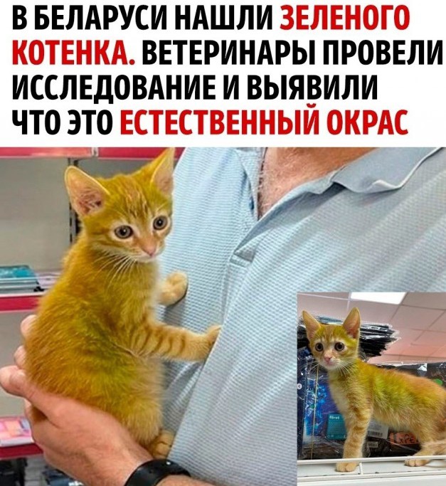 Так себе картинки 16.10.23