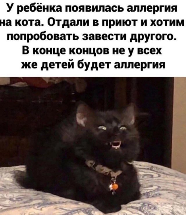 Всего понемногу. От 15.11.23