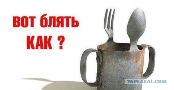 Может ли олень лишить норки не своего олененка? Игры юристов