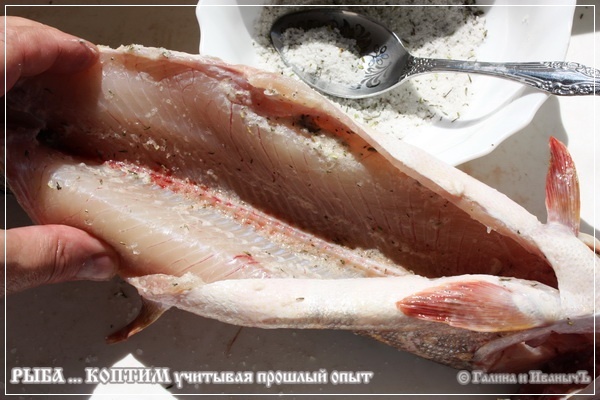 Рыба ... коптим ...