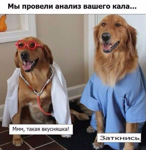 Картинки, буквы. В спорадическом порядке