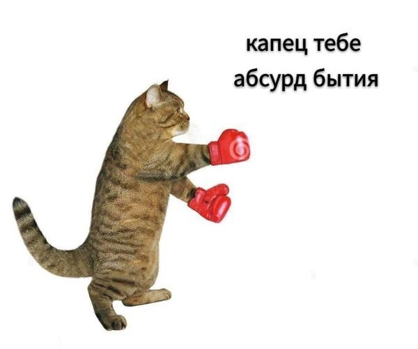 Немного лёгкой *банцы, наркомании и деградации в ленту 3