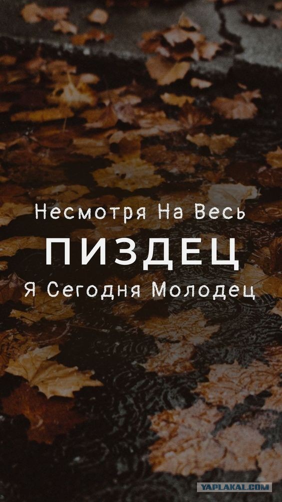 Прикольные и просто красивые картинки