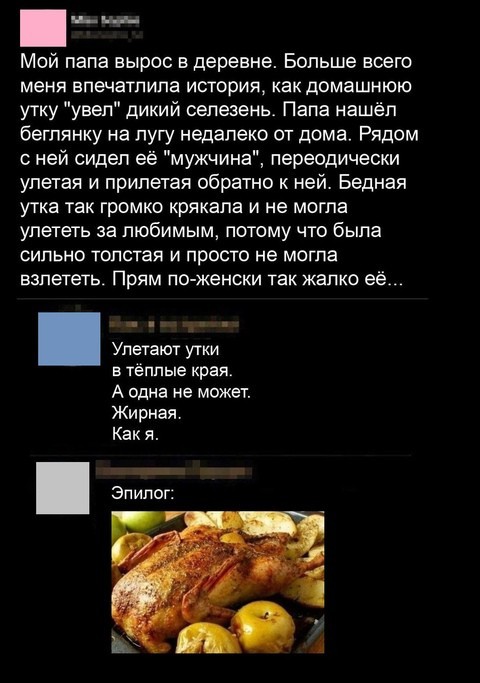 Всего понемногу. От 14.11.2024