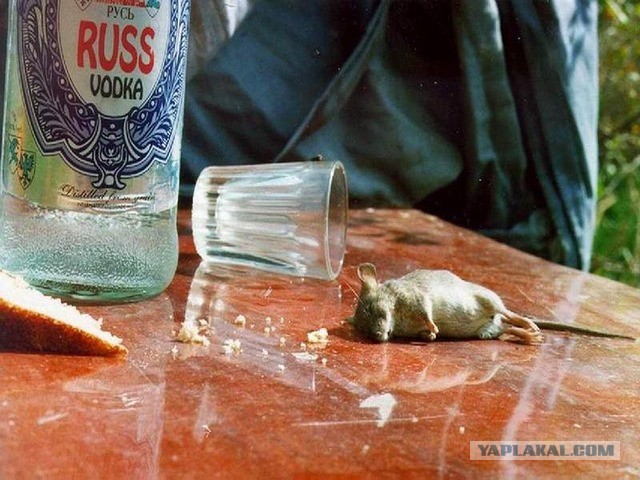 А давайте еще фотаться!