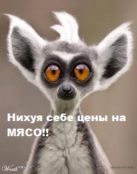 Самая дорогая девушка Москвы. +18